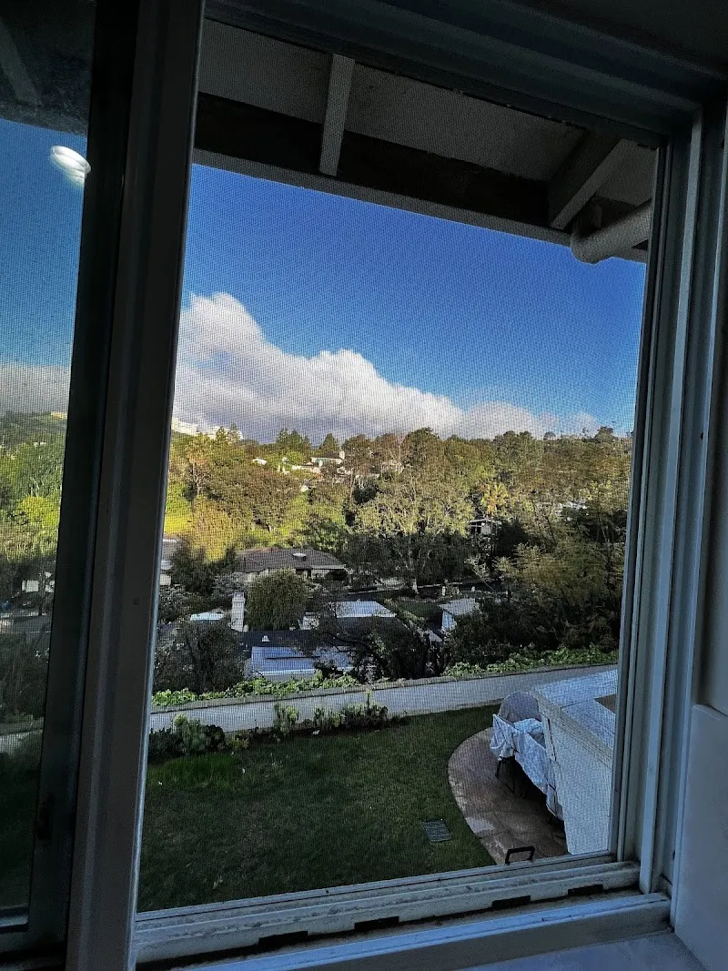 Novo Detox - Photo 4