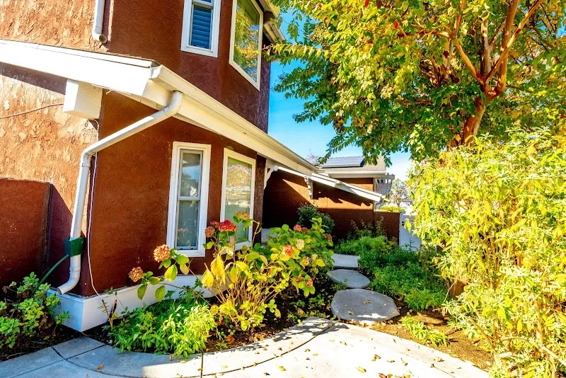 Ocean Coast Recovery