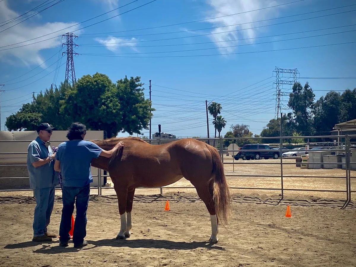 New Found Life: Drug & Alcohol Rehab Long Beach - Photo 4
