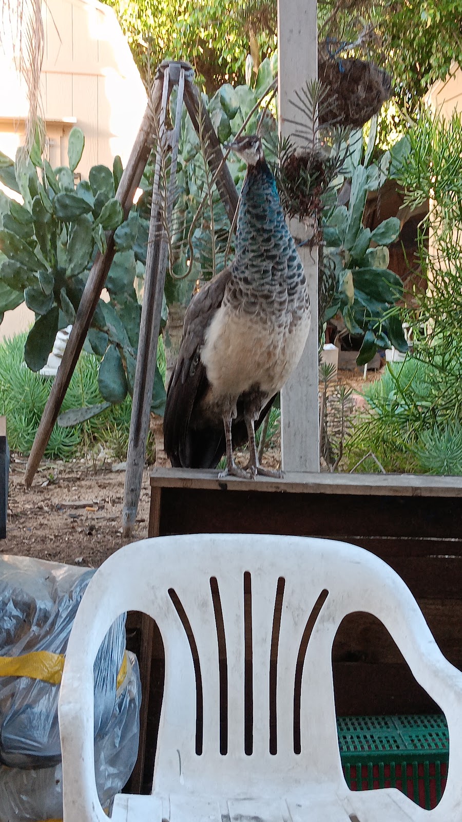 Center For Discovery - Photo 2