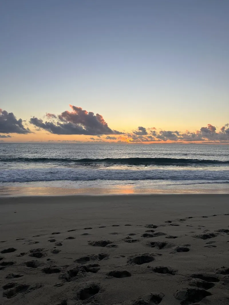 SoCal Detox - Photo 5