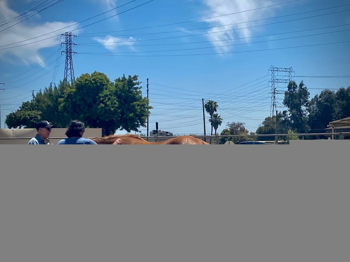 New Found Life: Drug & Alcohol Rehab Long Beach