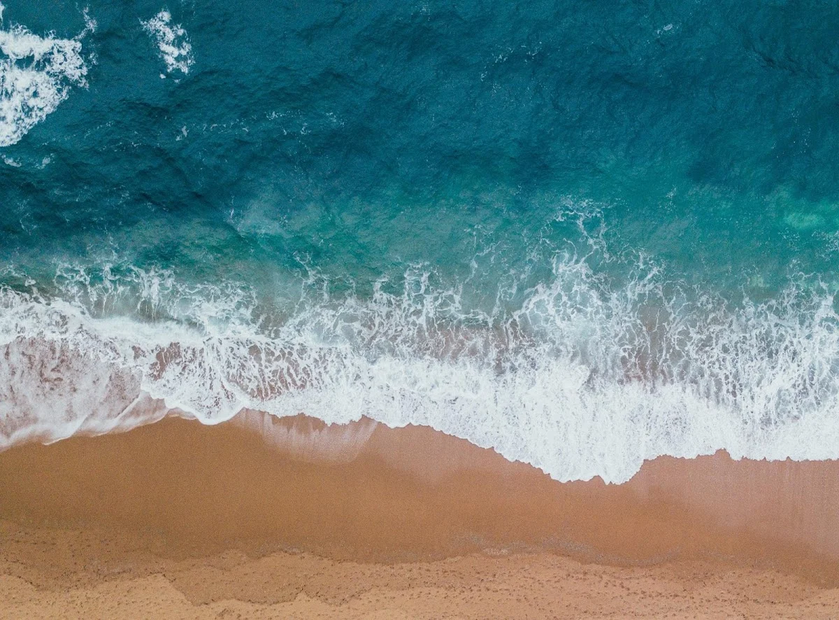 Pacific Mind Health - TMS, Spravato & Psychiatry, Long Beach