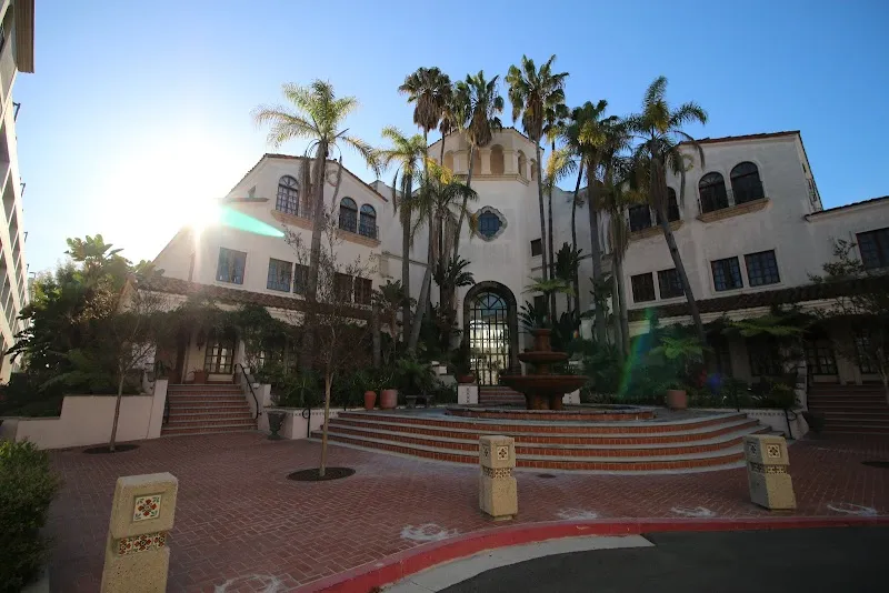 Tree House Recovery - Photo 3