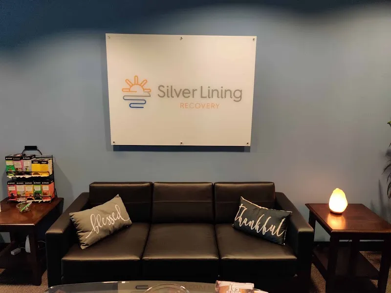 Silver Lining Recovery - Photo 1