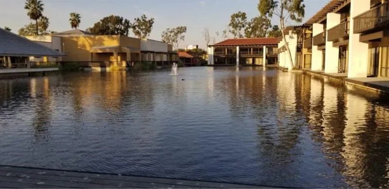 Silver Lining Recovery - Photo 2