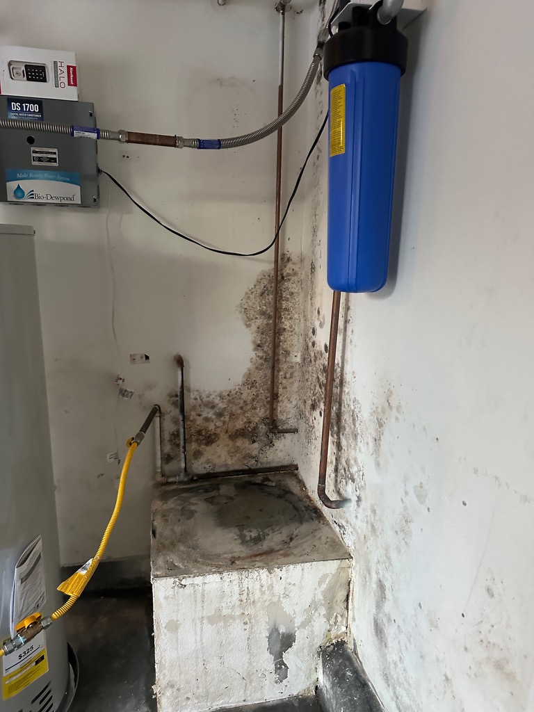 Recovery restoration pros - Photo 5