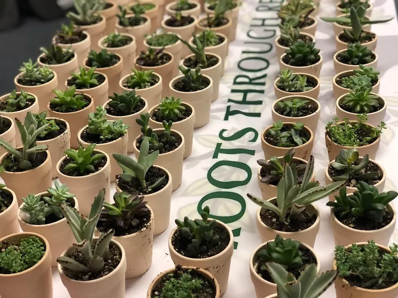 Roots Through Recovery | Addiction & Drug Rehab Center of Long Beach - Photo 3