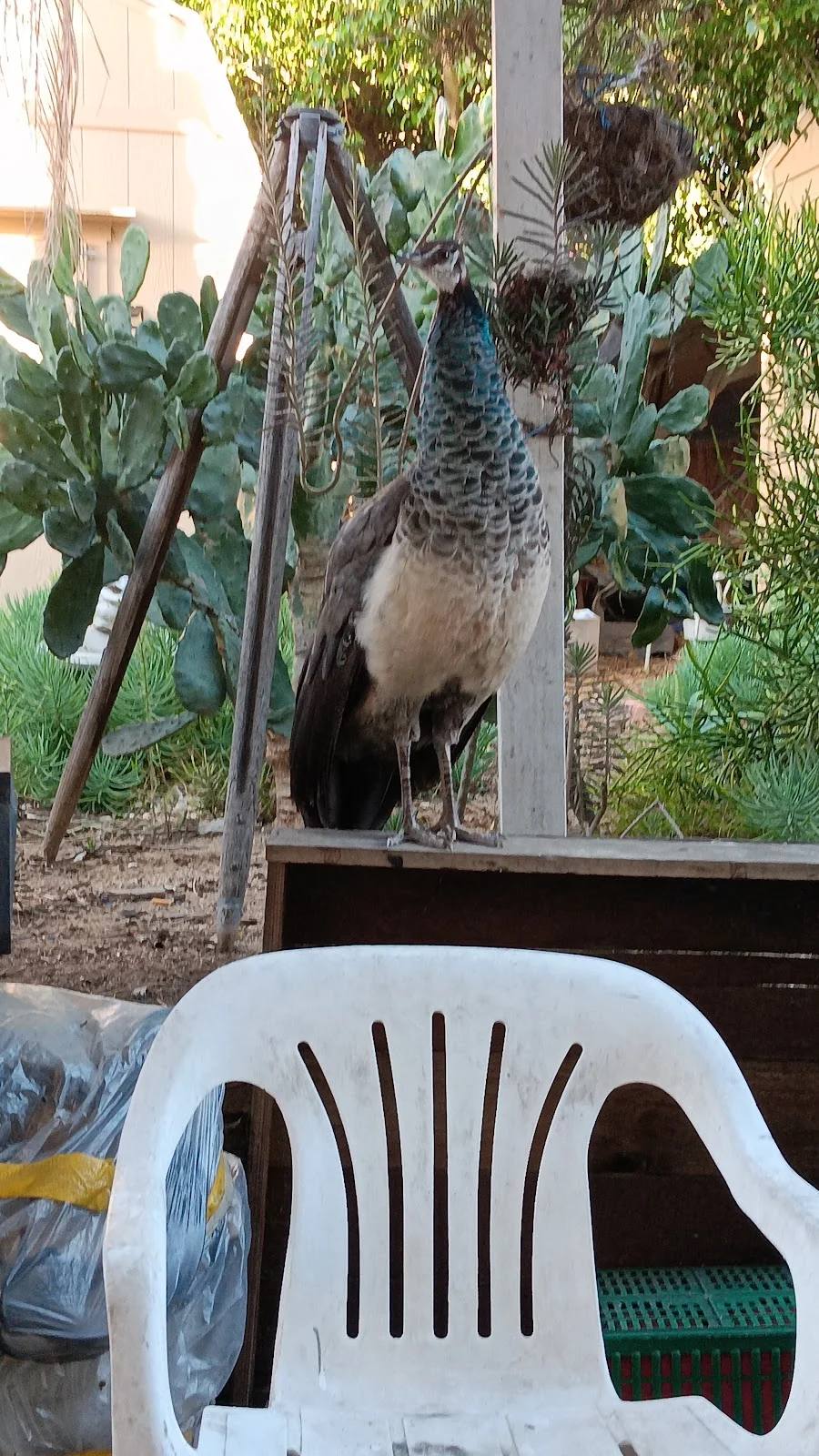 Center For Discovery - Photo 1