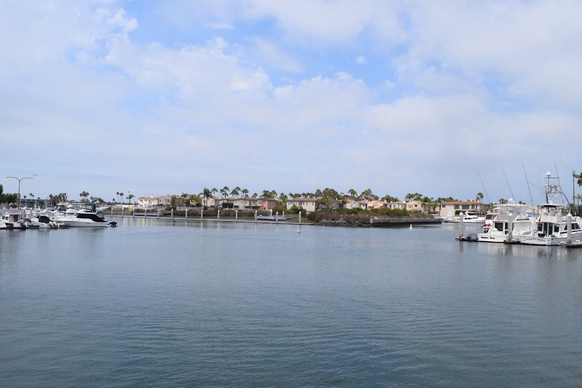 Sano Counseling Center Long Beach - Photo 6